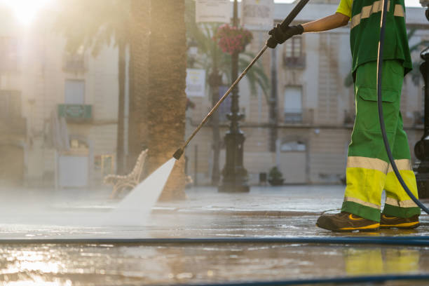 Best Solar Panel Cleaning  in Nanakuli, HI